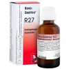 Clearance Reno Gastreu R 27 Tropfen zum Einnehmen, 50 ml Dr. Reckeweg