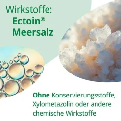 Online Rhinoguttae Neo Nasenspray, 20 ml Meerwasser Nasenspray|Schnupfen & Nasennebenhöhlen