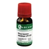 Clearance Arcana Rhus toxicodendron LM 12 Dilution, 10 ml