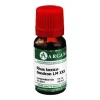 Online Arcana Rhus toxicodendron LM 30 Dilution, 10 ml