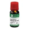 Best Rhus toxicodendron LM 18 Dilution, 10 ml R-Z|Q-R