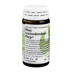 Online Rhus toxicodendron Globuli, 20 g Phönix