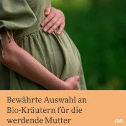 Online Salus Schwangerschaftstee Bio Filterbeutel, 15 St