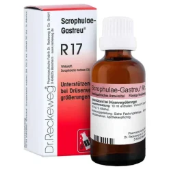 Discount Scrophulae Gastreu R 17 Tropfen zum Einnehmen, 50 ml