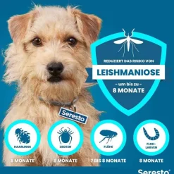 Hot Seresto ® Halsband für kleine Hunde bis 8 kg, 1 St