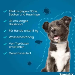 Hot Seresto ® Halsband für kleine Hunde bis 8 kg, 1 St