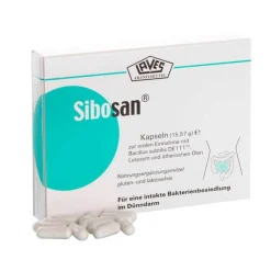 Online Sibosan Kapseln, 60 St
