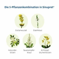 Sinupret® überzogene Tabletten, 200 St