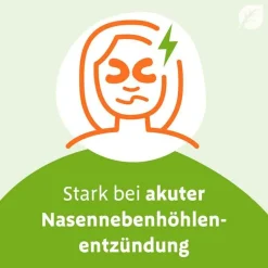Discount eXtract Tabletten, 40 St Schnupfen & Nasennebenhöhlen