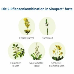 New forte überzogene Tabletten, 50 St Schnupfen & Nasennebenhöhlen
