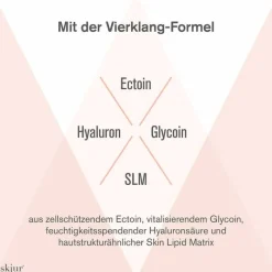 New Nachtpflege Creme, 50 ml Nachtpflege