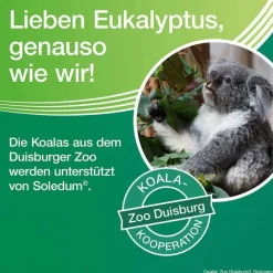 Discount Balsam, 20 ml Schnupfen & Nasennebenhöhlen|Inhalate