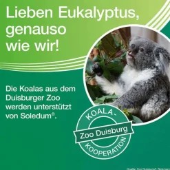 Soledum Balsam, 50 ml