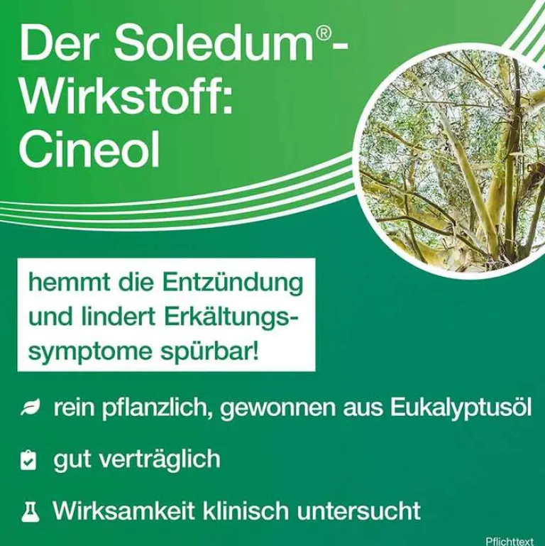 New Soledum Kapseln , 50 St