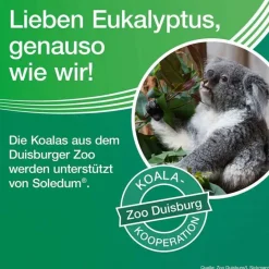 New Soledum Kapseln, 100 St