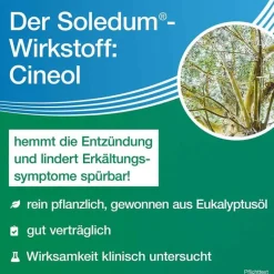 Discount Kapseln forte, 20 St Schnupfen & Nasennebenhöhlen|Hustenlöser