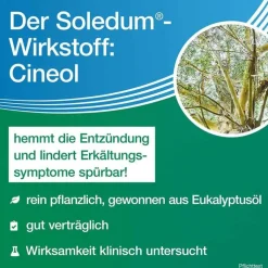 Soledum Kapseln forte, 2x100 St