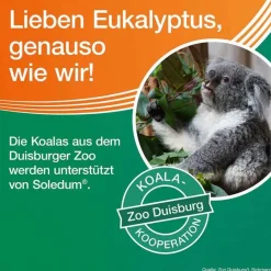 Online Kapseln junior, 20 St Kinder Hustensaft Kinder|Schnupfen & Nasennebenhöhlen