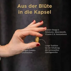 Outlet Solgar Nachtkerzenöl 1300 mg Kapseln, 30 St