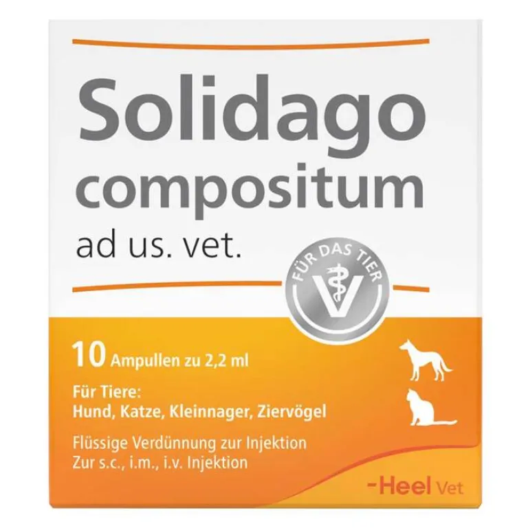 Online Heel Solidago compositum ad us. vet. Ampullen, 10 St