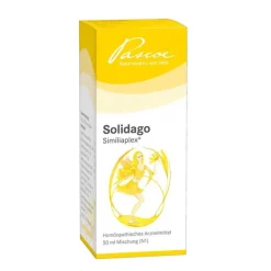 New Similiaplex Solidago Tropfen, 50 ml