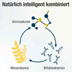 Online Spermidin Plus Kapseln, 60 St