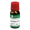 Best Arcana Stramonium LM 6 Dilution, 10 ml