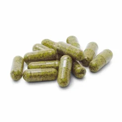 Hot Dr. Jacobs Medical Sulfoforte plus Dr. Jacobs Kapseln, 90 St