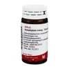 Discount Symphytum comp. Globuli, 20 g Verletzungen