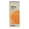 Best Kattwiga Synergon Komplex 34 Symphytum Tropfen, 50 ml