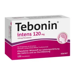 Hot Tebonin ® intens 120 mg Filmtabletten, 120 St