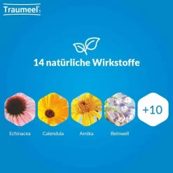 Online Traumeel ® S Creme, 50 g