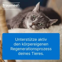 Online Traumeel T ad us. vet. Tabletten für Hund und Katze, 250 St