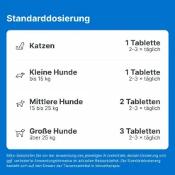 Online Traumeel T ad us. vet. Tabletten für Hund und Katze, 250 St