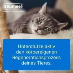 Discount Traumeel T ad us. vet. Tabletten für Hund und Katze, 500 St