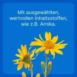 Discount Traumeel T ad us. vet. Tabletten für Hund und Katze, 500 St