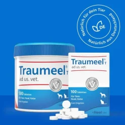 Discount Traumeel T ad us. vet. Tabletten für Hund und Katze, 500 St