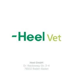 Discount Traumeel T ad us. vet. Tabletten für Hund und Katze, 500 St