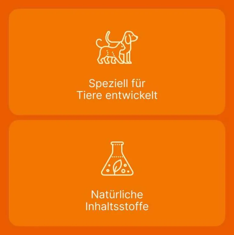 Outlet Ubichinon compositum ad us. vet. Ampullen, 10 St Biologische Heilmittel Heel Gmbh