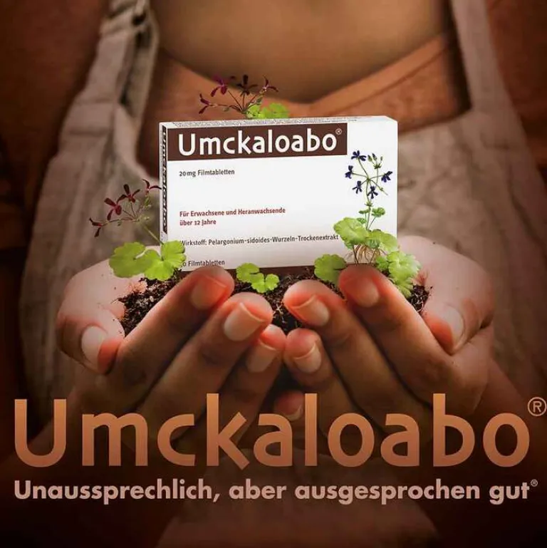 Outlet Umckaloabo ® 20 mg Filmtabletten, 15 St