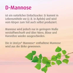 Outlet Urocys Mannose + Sticks, 15 St