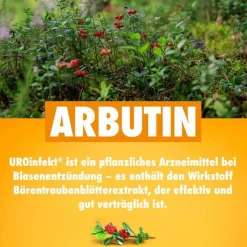 UROinfekt® 864 mg Filmtabletten, 14 St