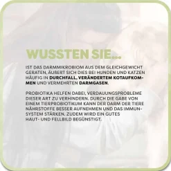 Discount Tierprobiotikum Pulver für Hunde / Katzen, 100 g Magen & Darm|Magen & Darm