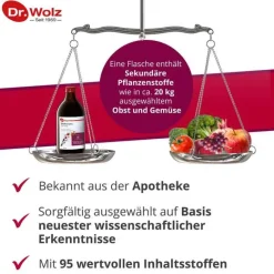 Hot Dr. Wolz Vitalkomplex , 500 ml