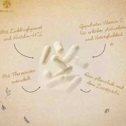 Vitamin C-Komplex Zink Histidin vegan Kapseln Erdling, 120 St