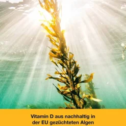 Clearance Dr. Loges Vitamin D-Loges 7.000 I.E. pflanzlich Wochendepot, 60 St