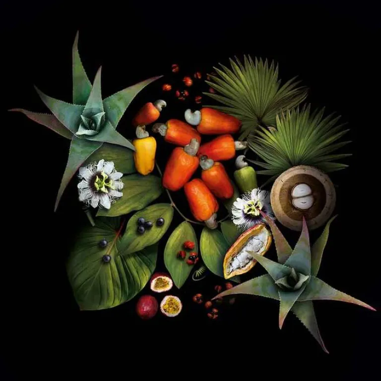 Discount Xingu age perfect eye cream, 10 ml Augenpflege