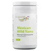 New Yams 500 mg Kapseln, 60 St Yamswurzel