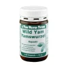 Best The Nutri Store Yamswurzel Wild Yam 250 mg Kapseln, 120 St