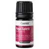 Casida Yoga Spirit Duftmischung, 5 ml